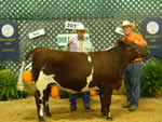 Dyer County - 2013